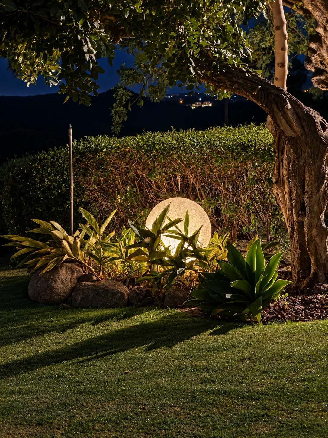 A glowing spherical garden light beneath a mature tree, surrounded by planting and rocks.